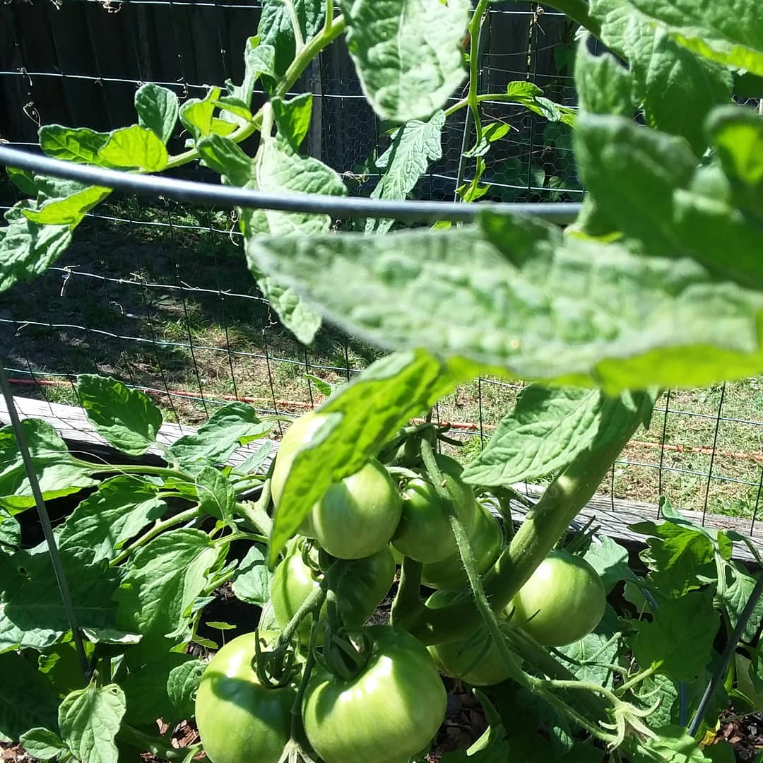 IMG_20200503_183642_756